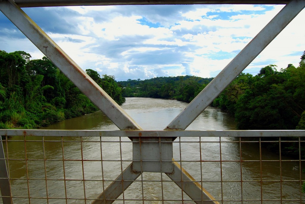 At 4,345 miles, the Amazon River is the 2nd longest river in the world.