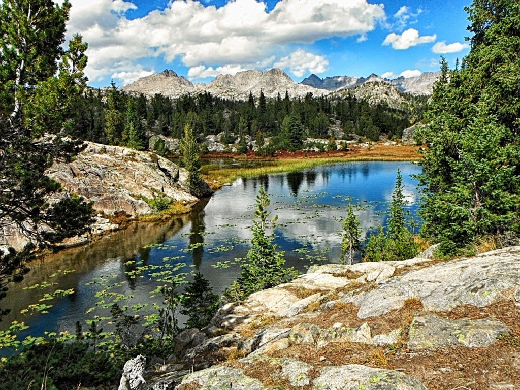 Wyoming's Bighorn National Forest is a favorite spot for fly fishing.