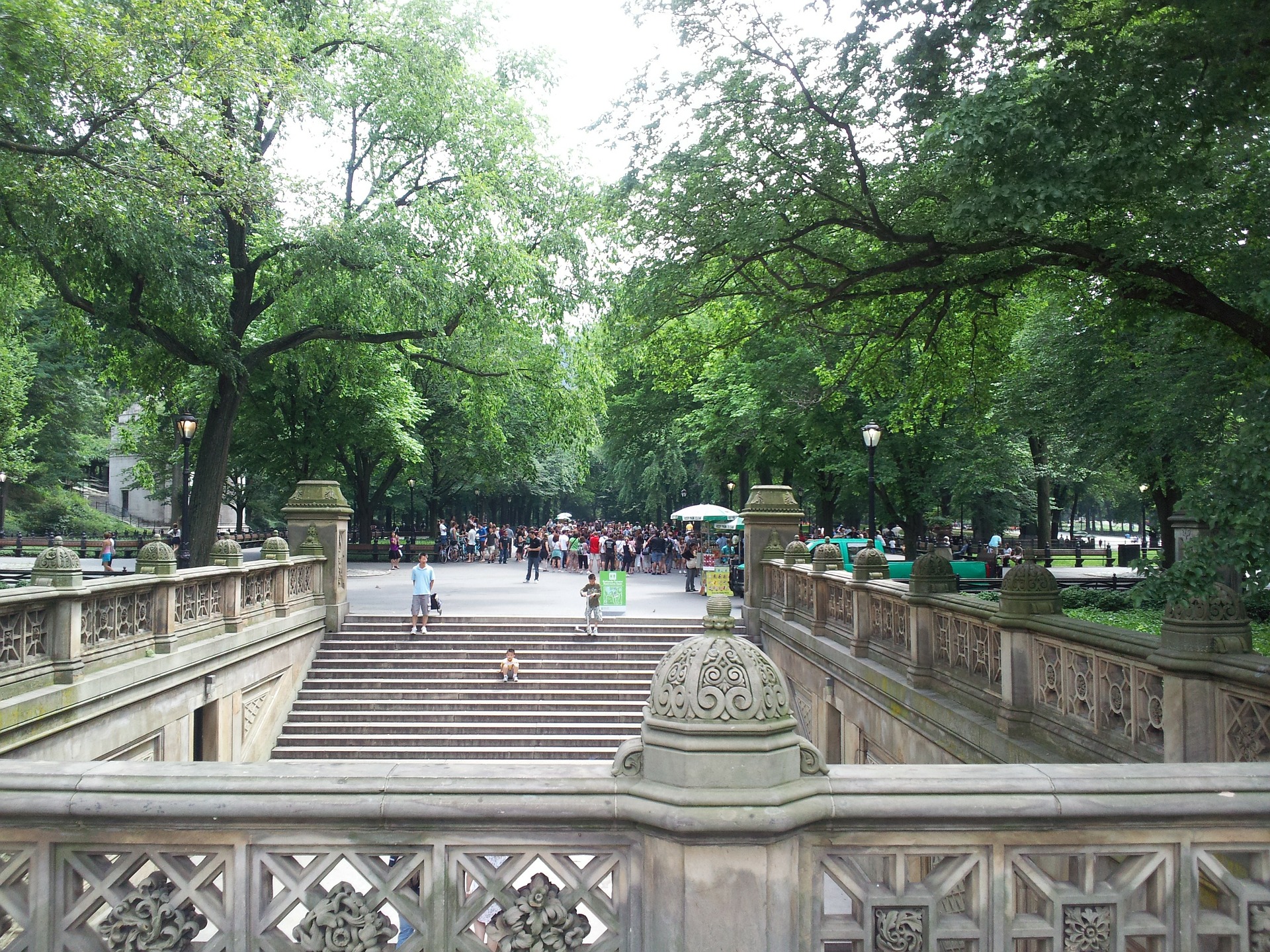 Preserving urban forests are important to the health of a city. 