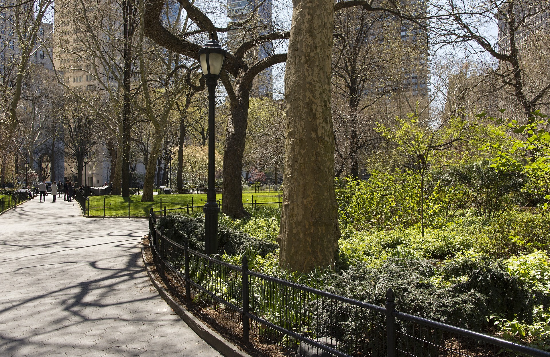 Manhattan Real Estate and the Magical Urban Forest