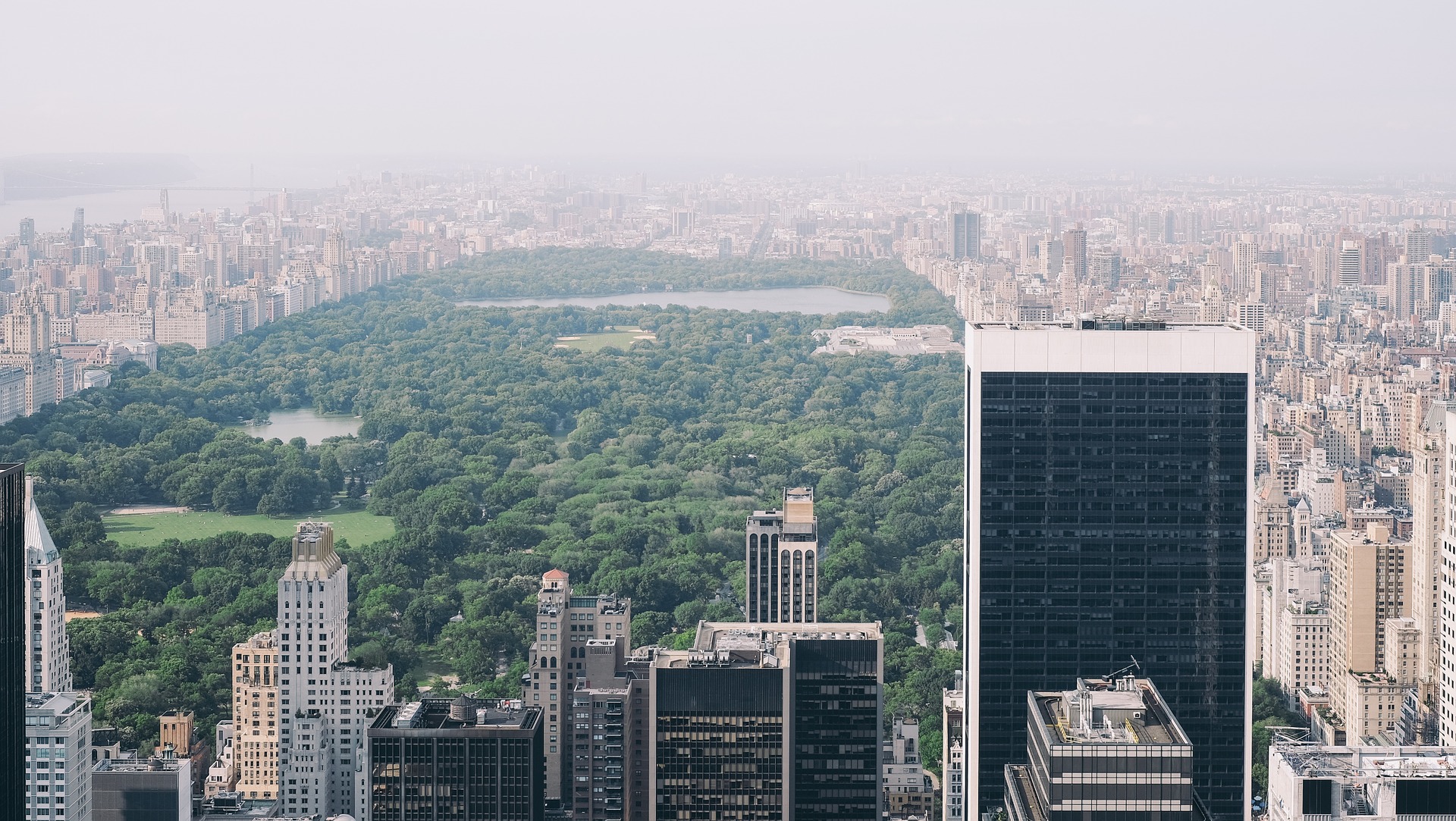 NYC as a whole is considered one large forest. 